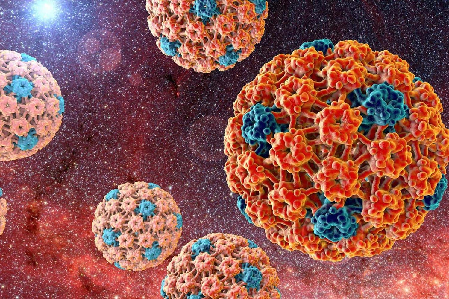HPV vírusok